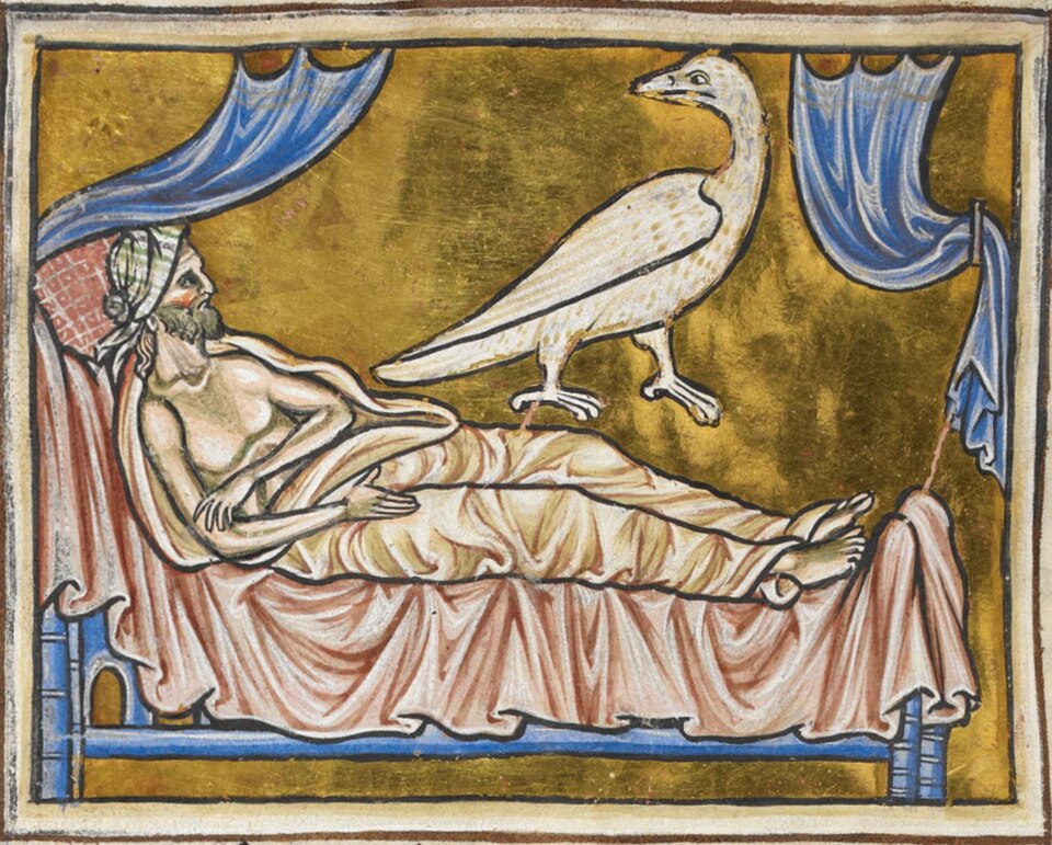 Enluminure médiévale du Caladrius, British Library, Royal MS 12 C XIX